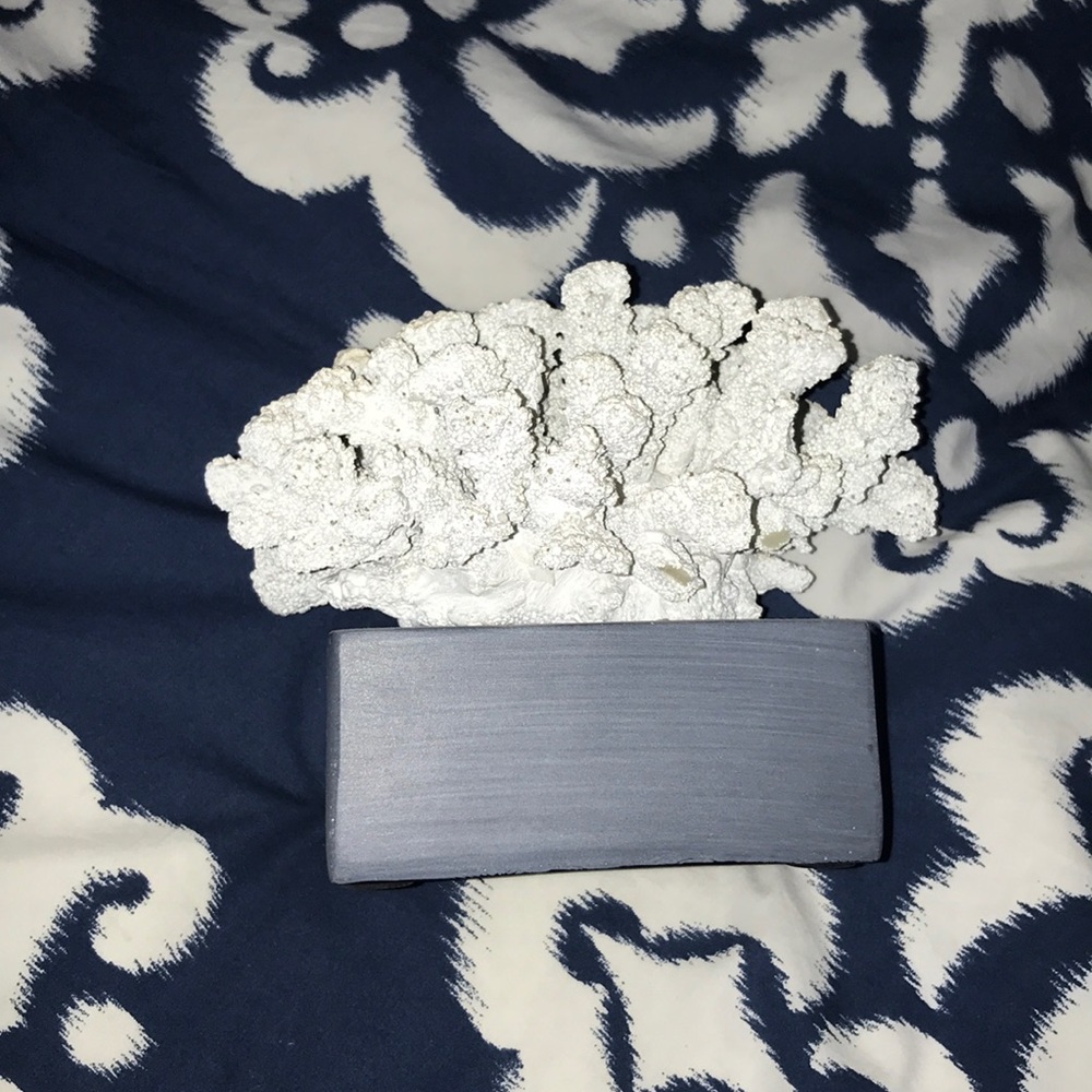Coral decor